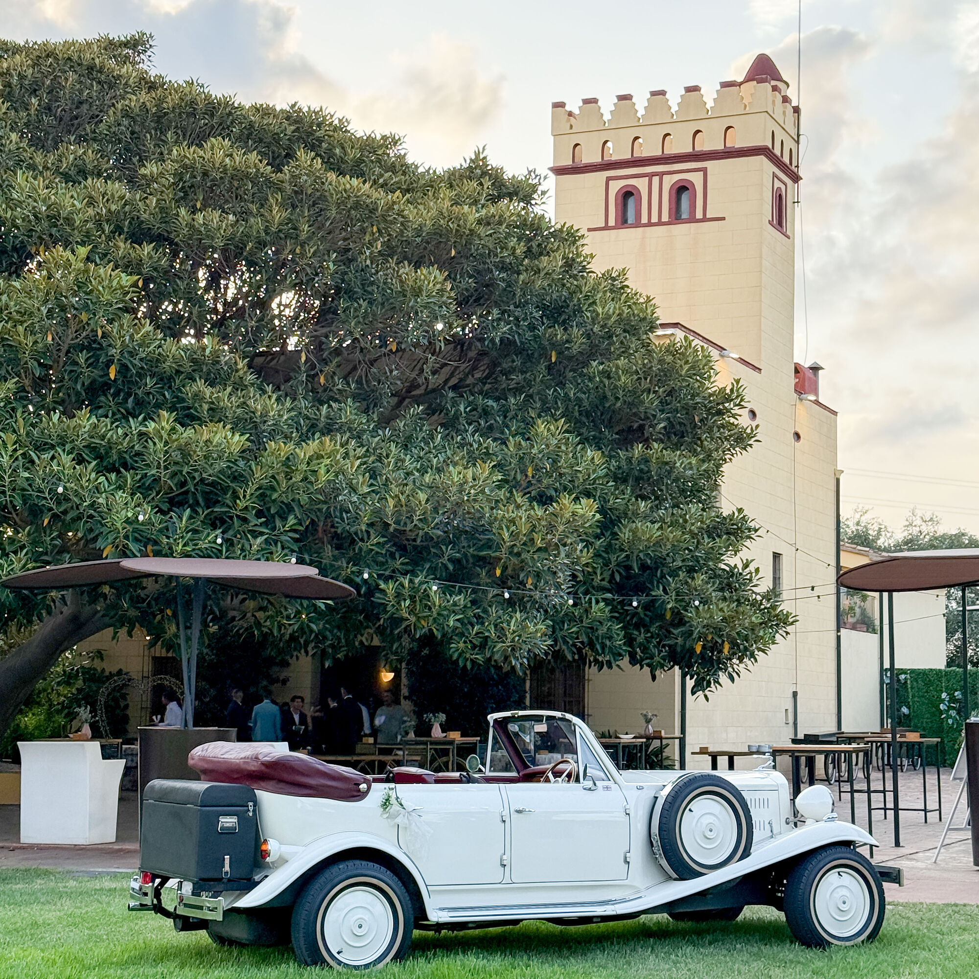 ESTUDIOGAMA2025-08-24-1012