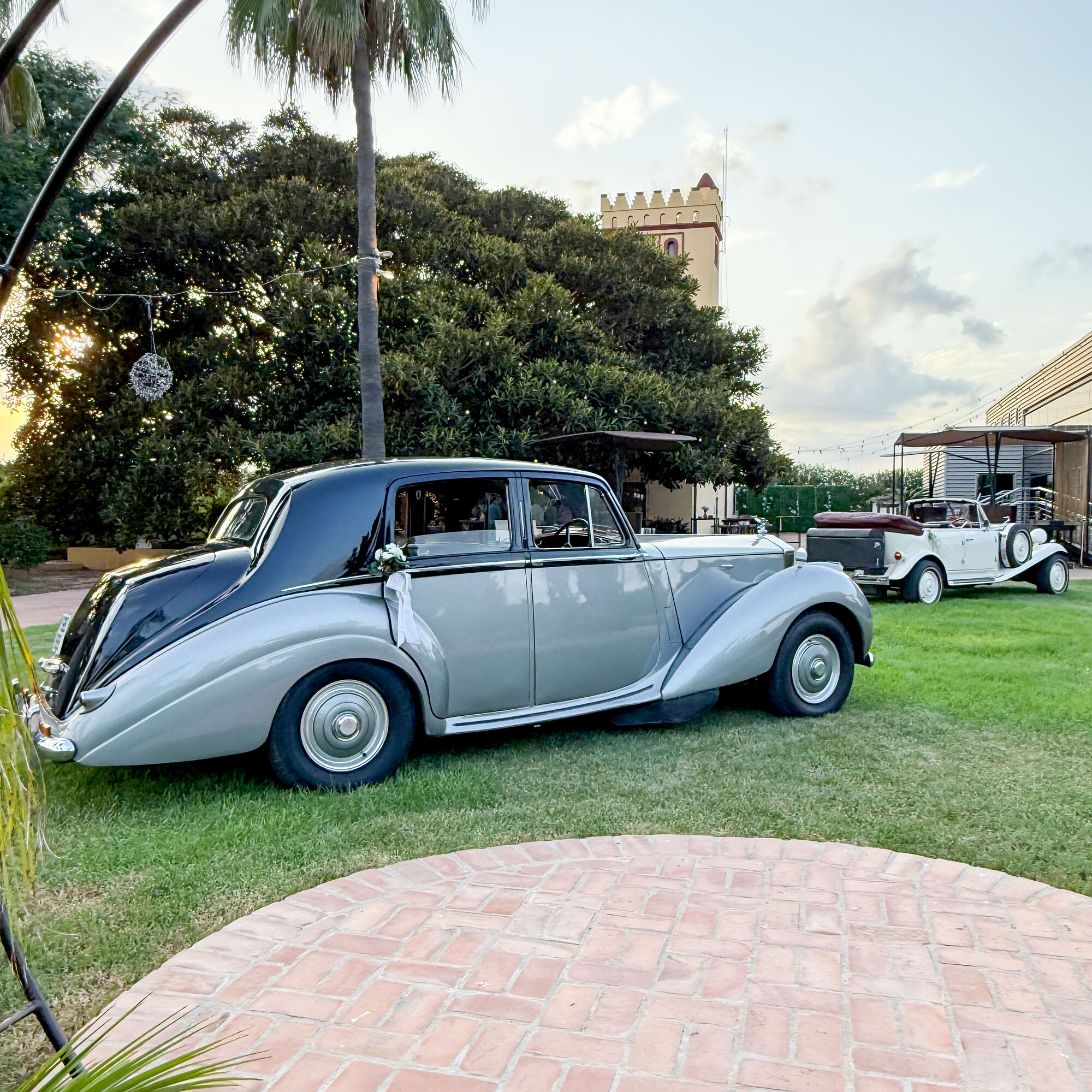 ESTUDIOGAMA2025-08-24-1021