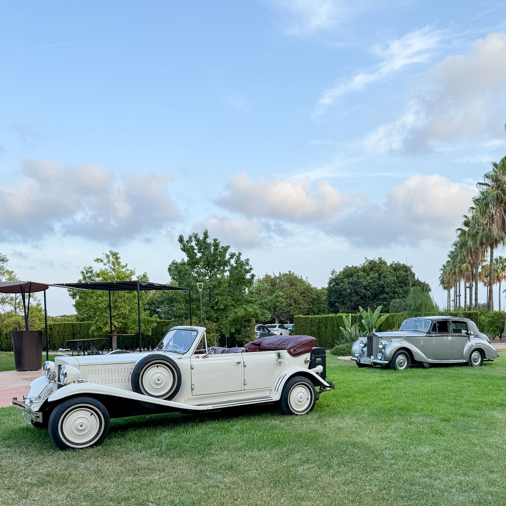 ESTUDIOGAMA2025-08-24-1029