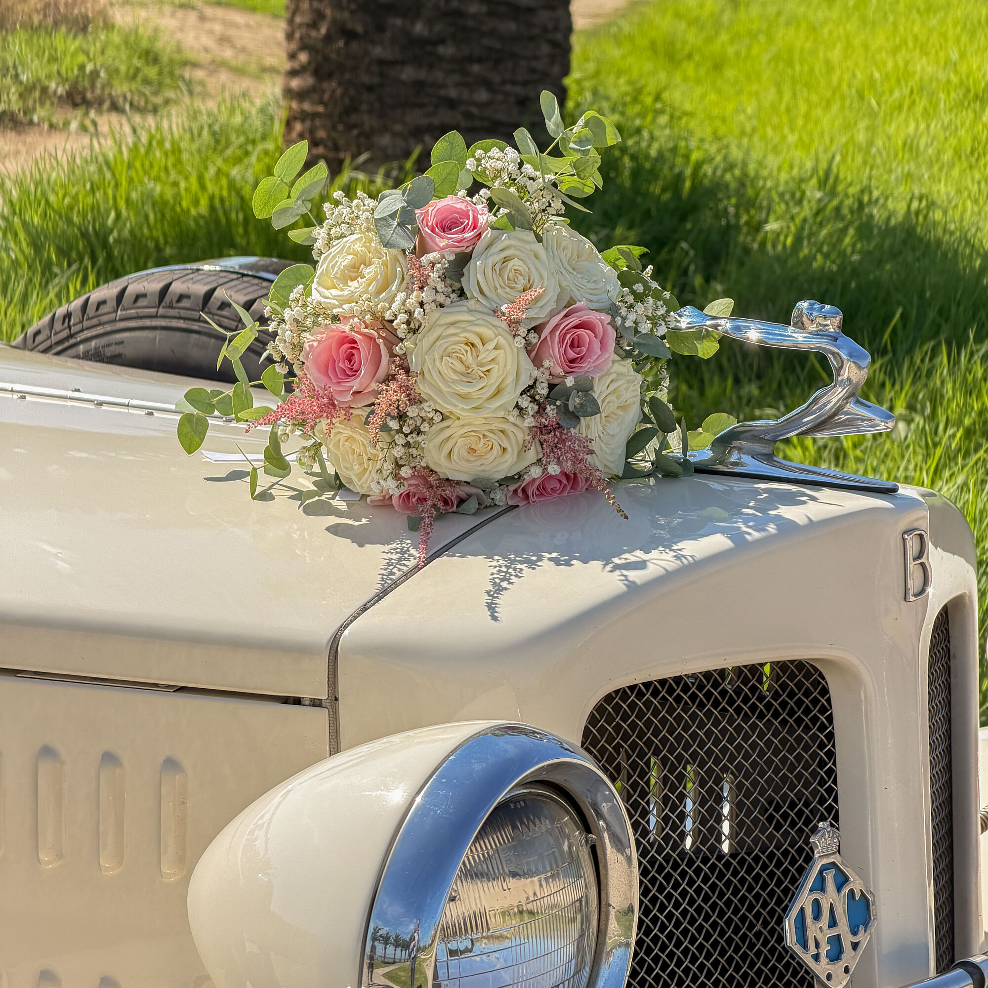 ESTUDIOGAMA2025-10-04-1016