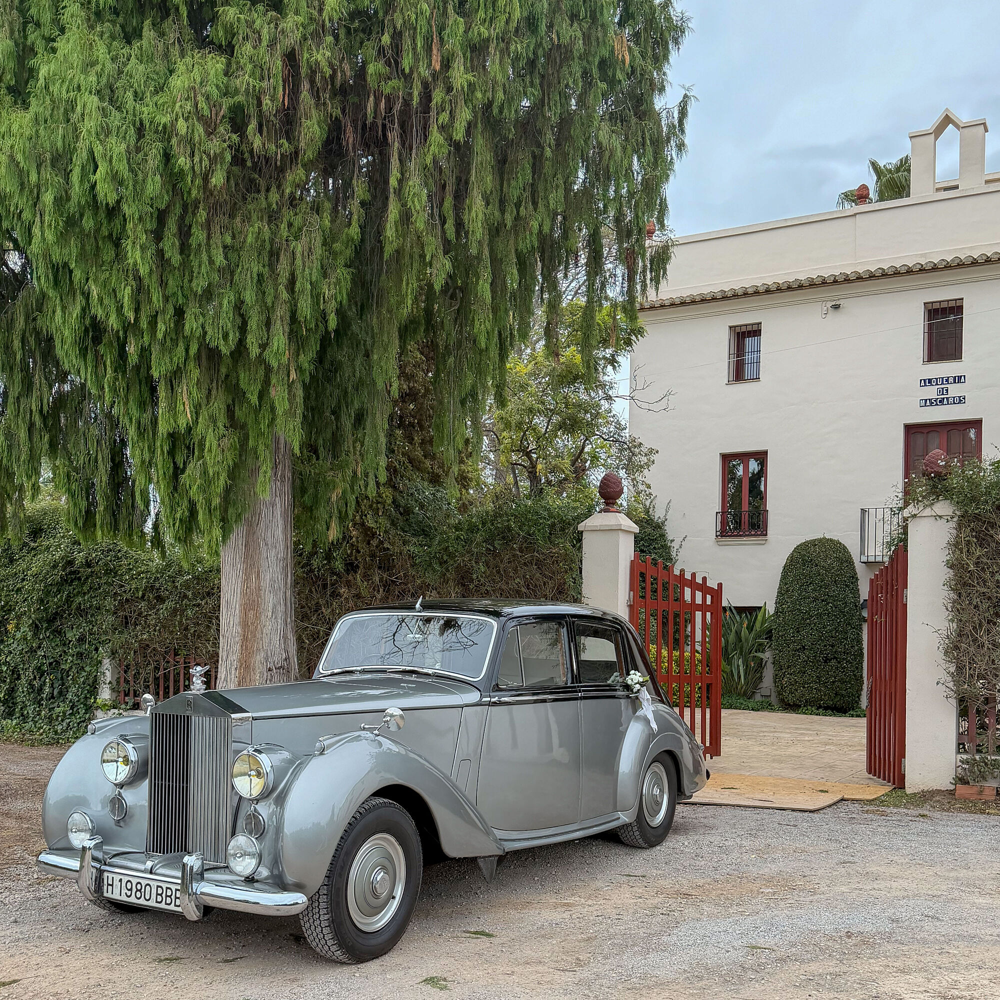 ESTUDIOGAMA2025-11-15-1011