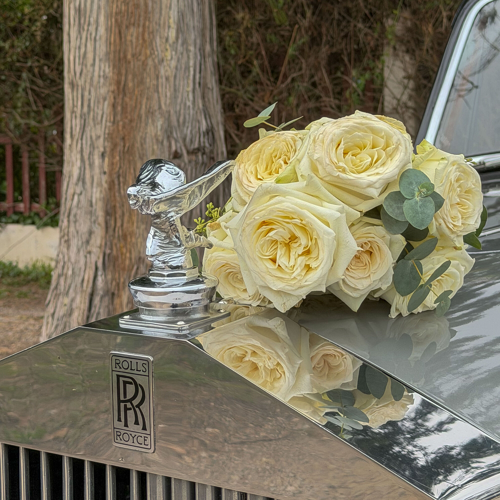 ESTUDIOGAMA2025-11-15-1014