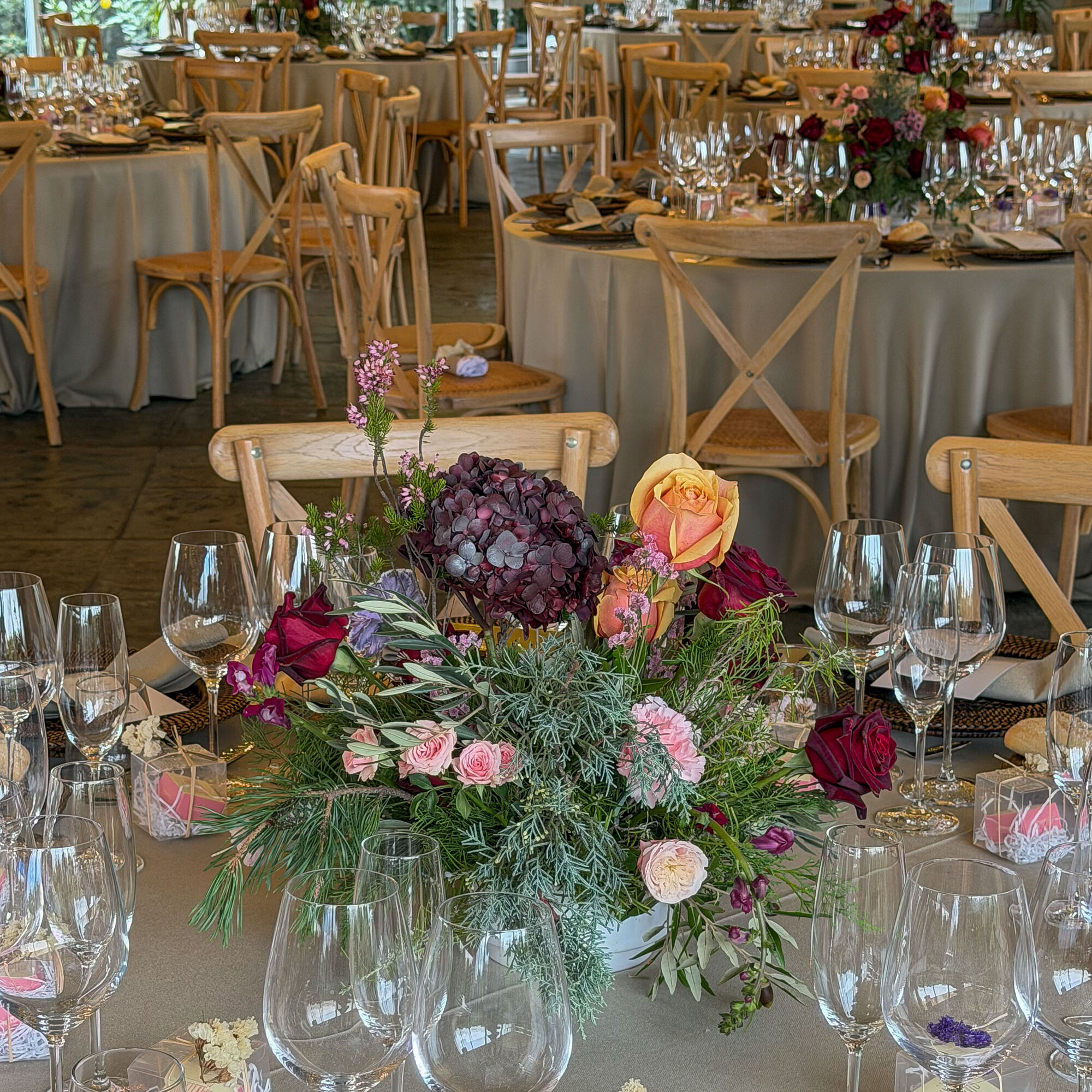 ESTUDIOGAMA2025-11-15-1023