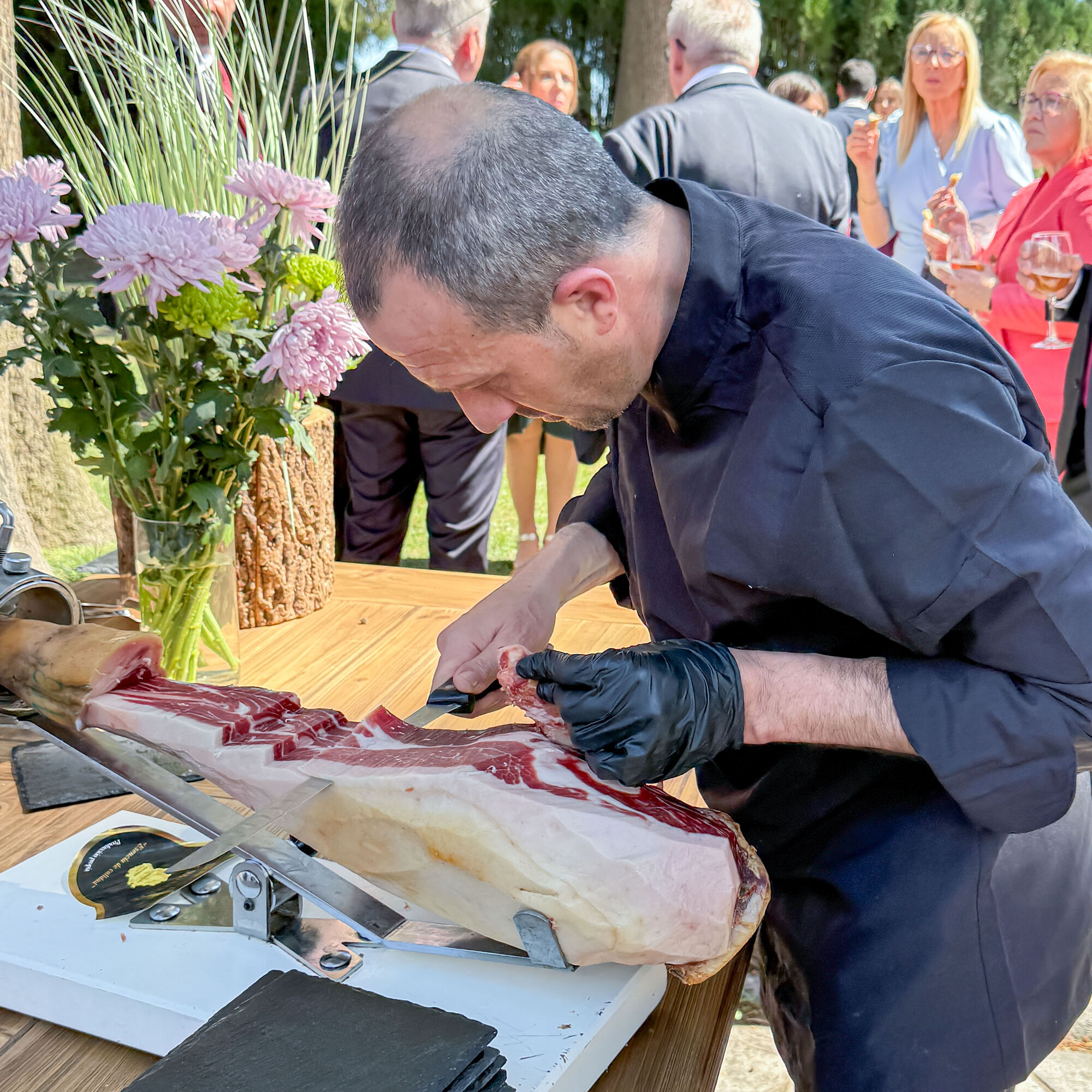 ESTUDIOGAMA2025-04-05-1017