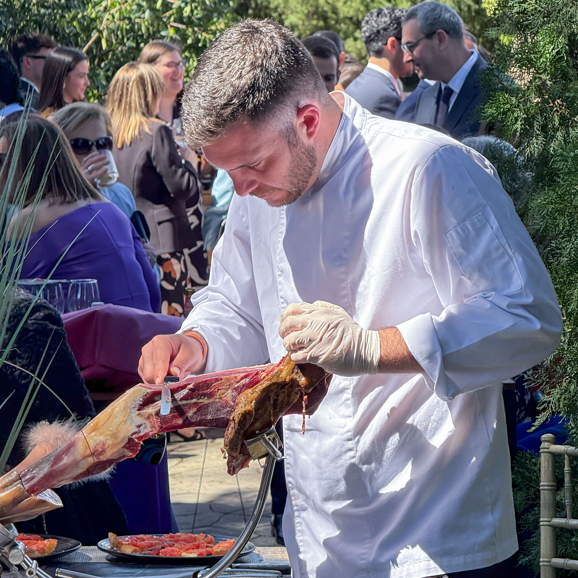 ESTUDIOGAMA2025-04-05-1018