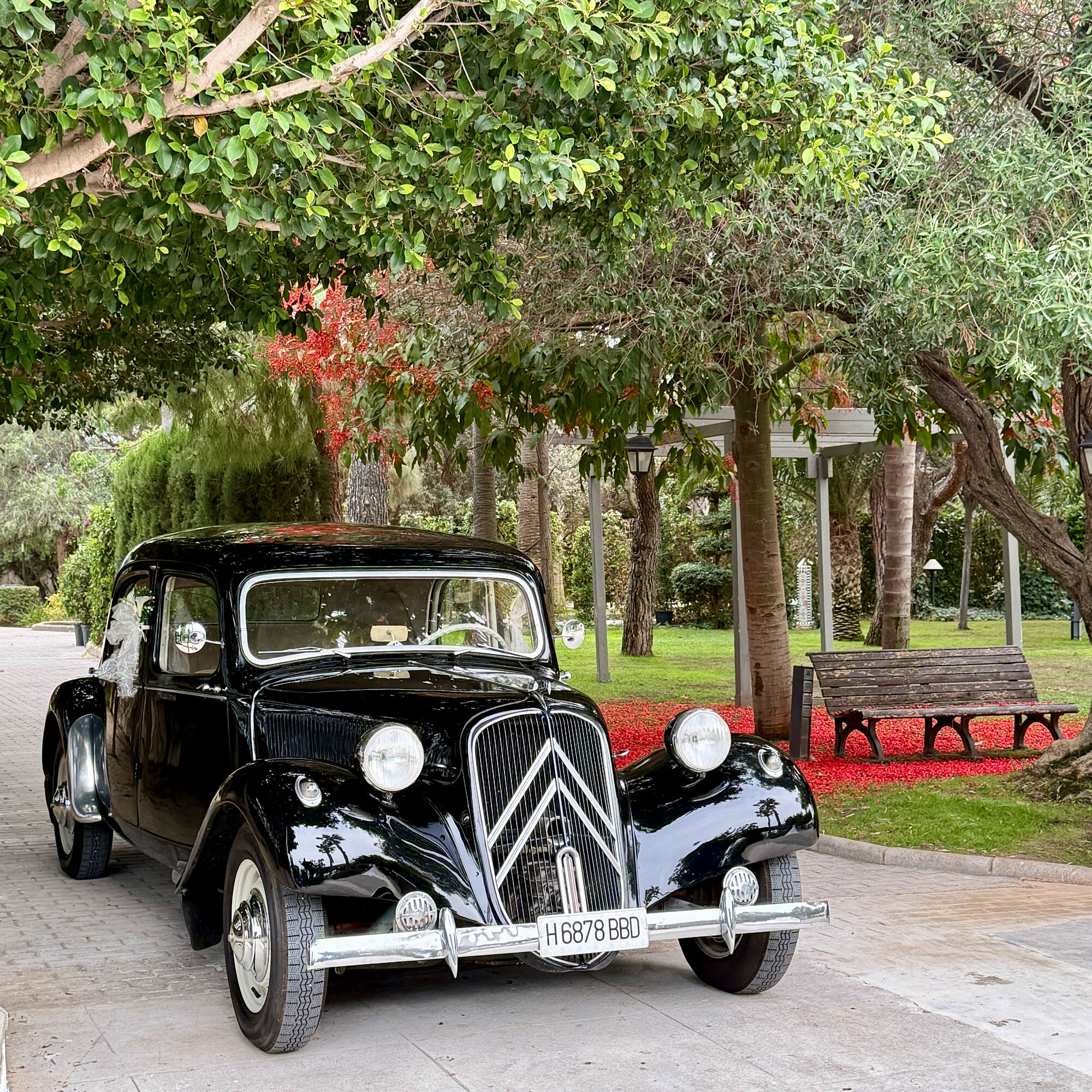 ESTUDIOGAMA2025-06-21-1017