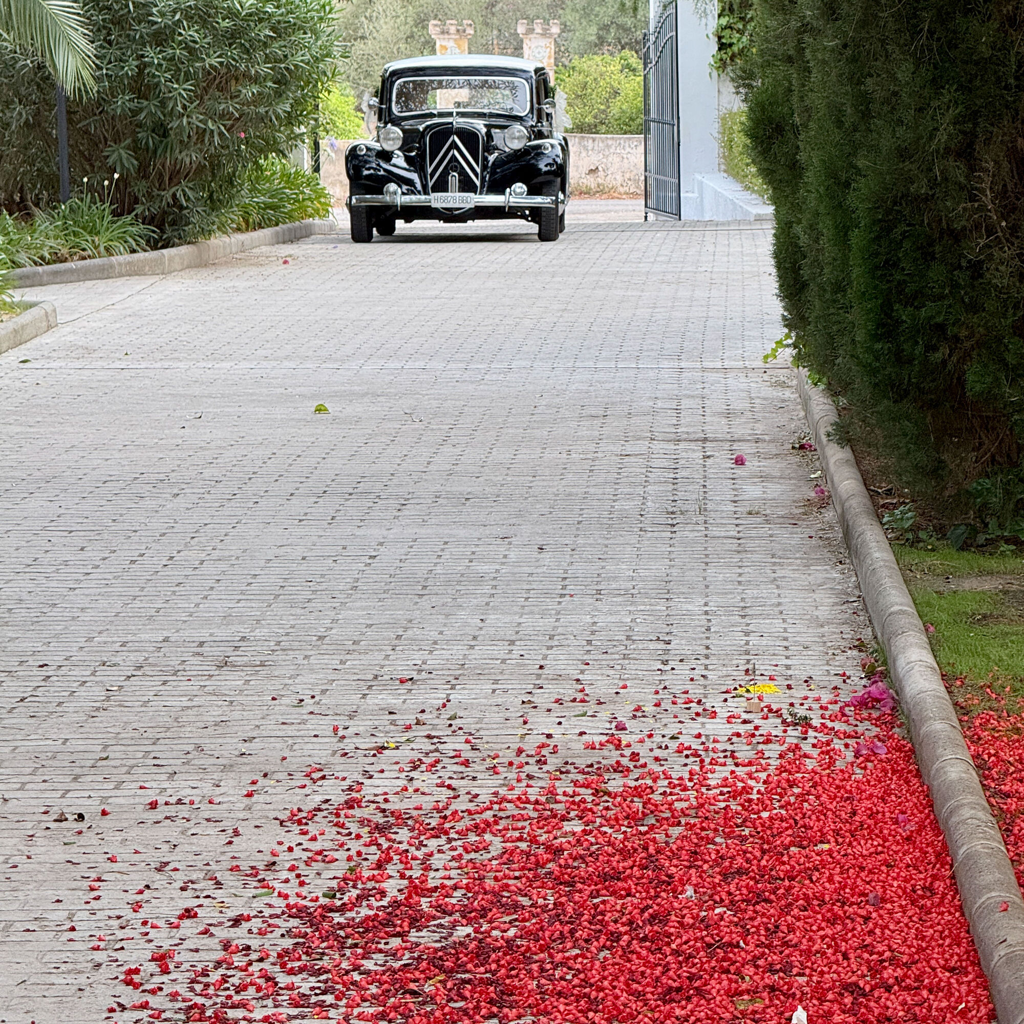 ESTUDIOGAMA2025-06-21-1018