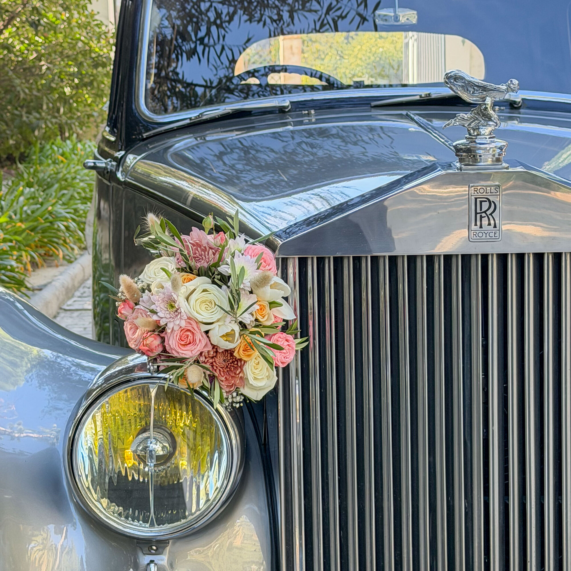 ESTUDIOGAMA2025-11-29-1018