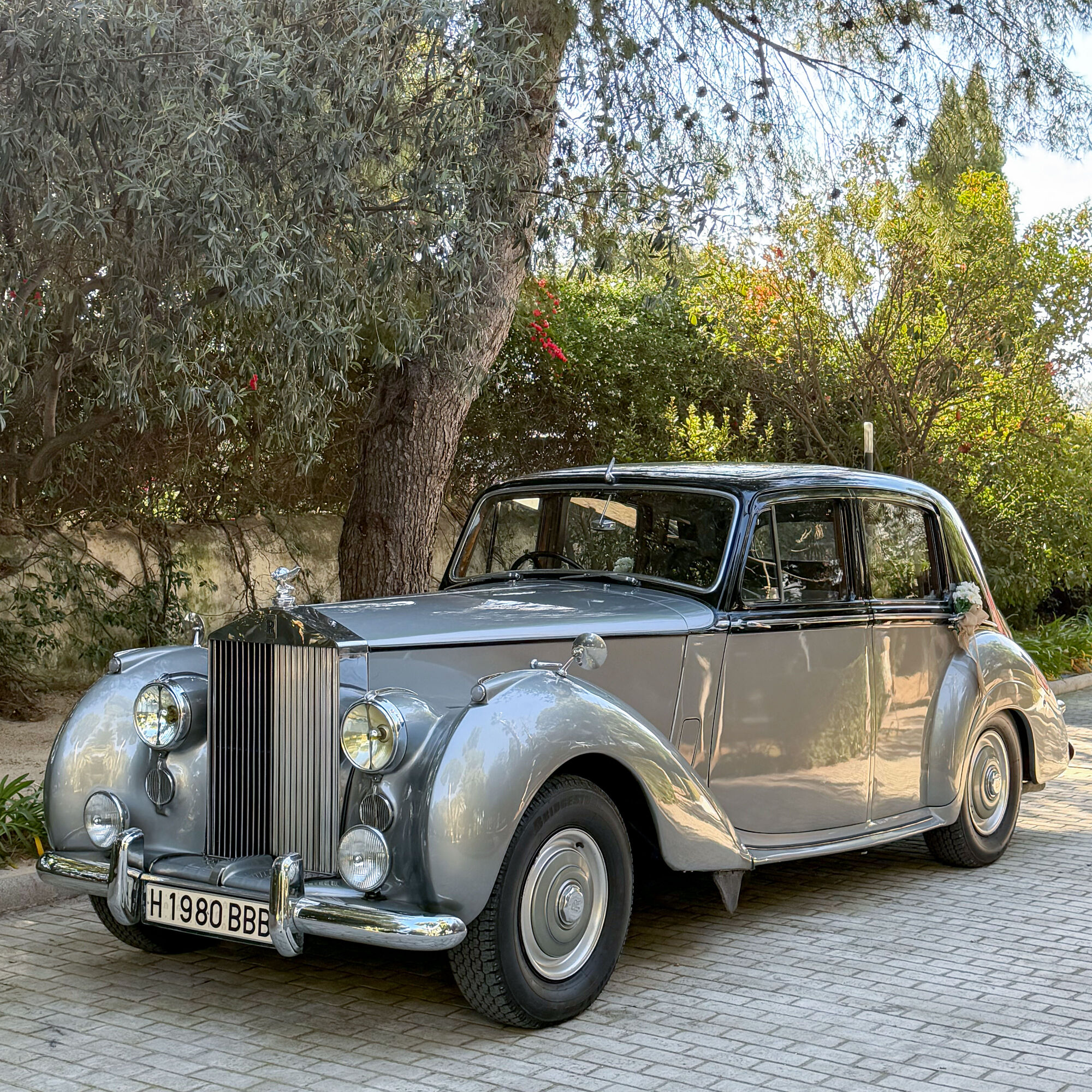 ESTUDIOGAMA2025-11-29-1027