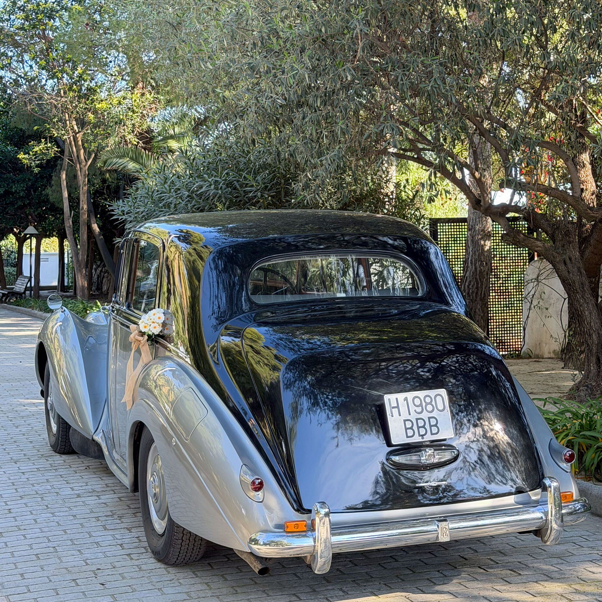 ESTUDIOGAMA2025-11-29-1028