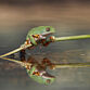 Doble - Sandra Fernandez