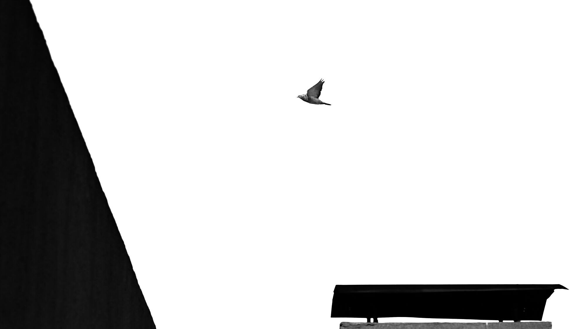 Luces, sombras y formas