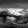 PATAGONIA BLANCO Y NEGRO
