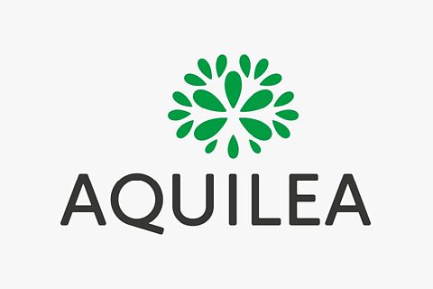 Presentacion Aquilea
