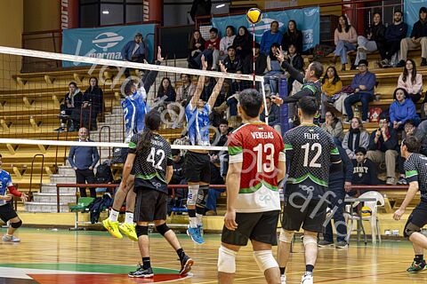 LIGA PALESTINA DE VOLEIBOL