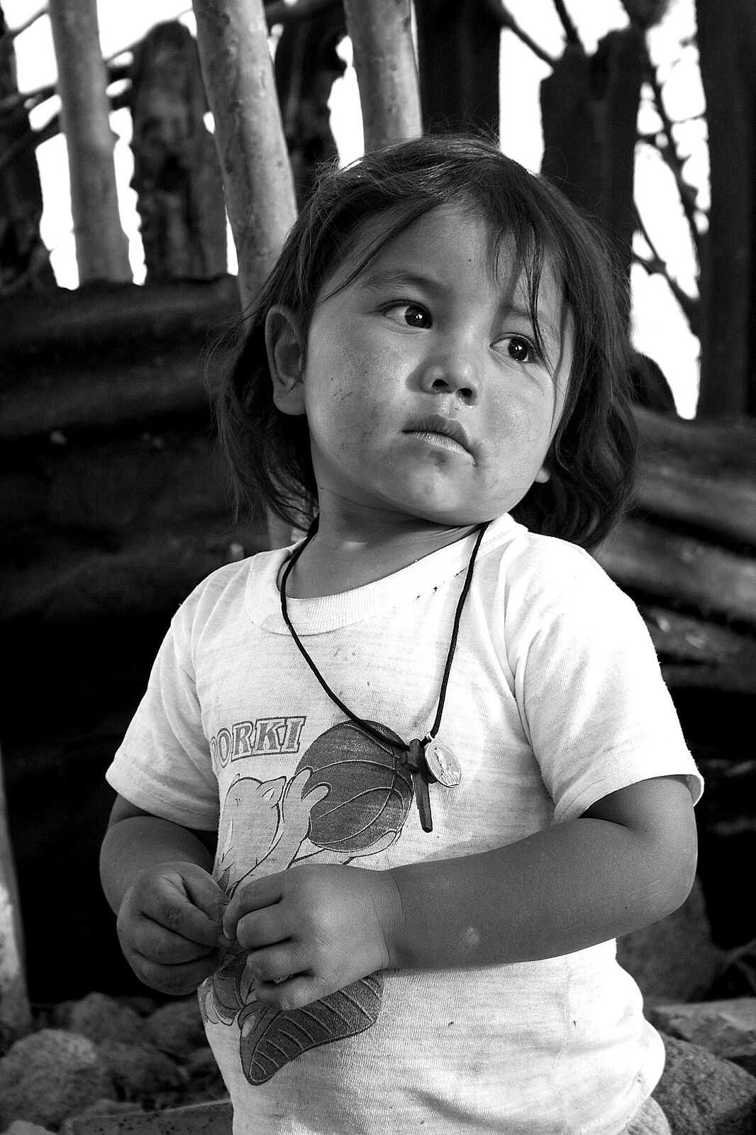 JMEJIA DOMINGUEZ - img_4639-copia-ts20250722063452671444.jpg