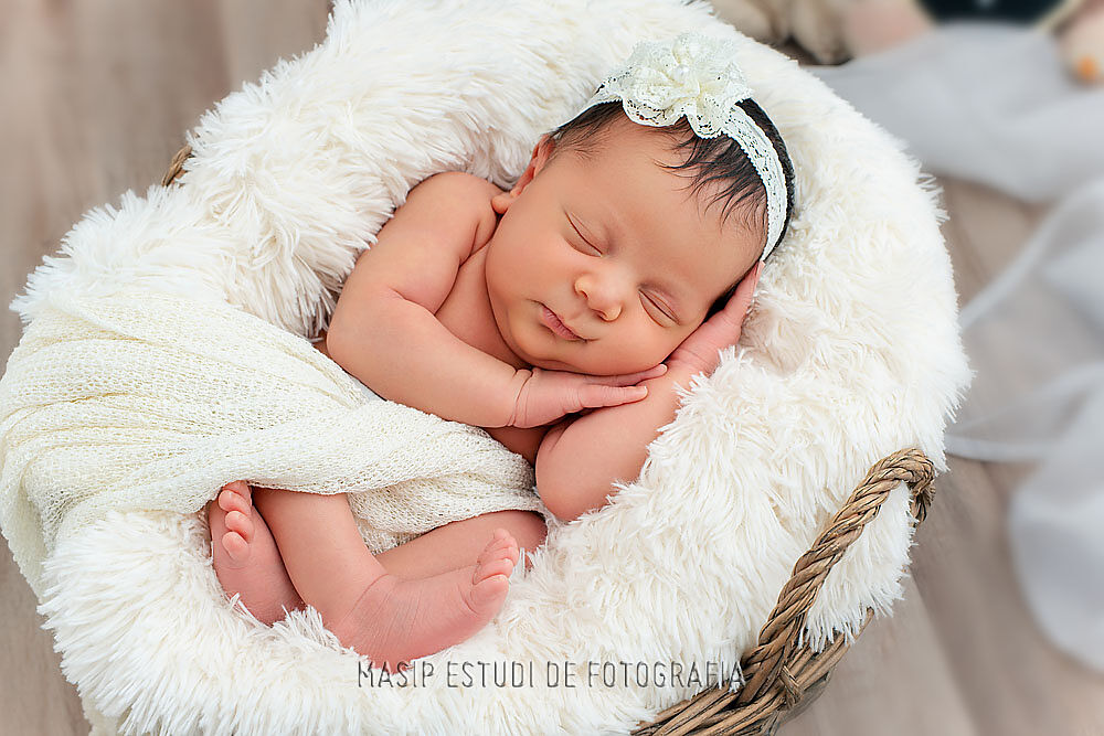 Masip Fotografia - ft3s6456-ts20251227113434295418.jpg