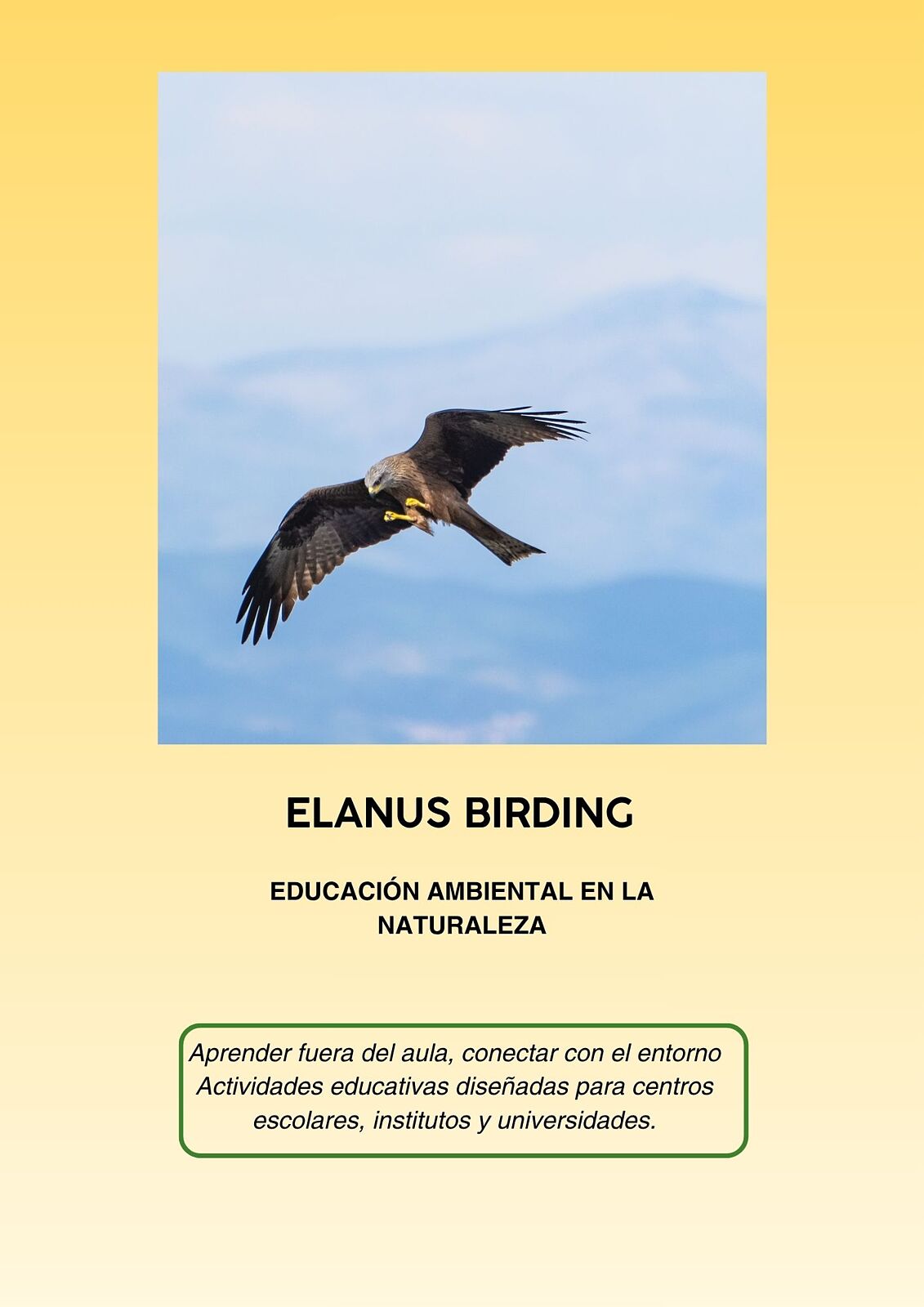 ElanusBirding - 1000008907-ts20260429101922489211.jpg