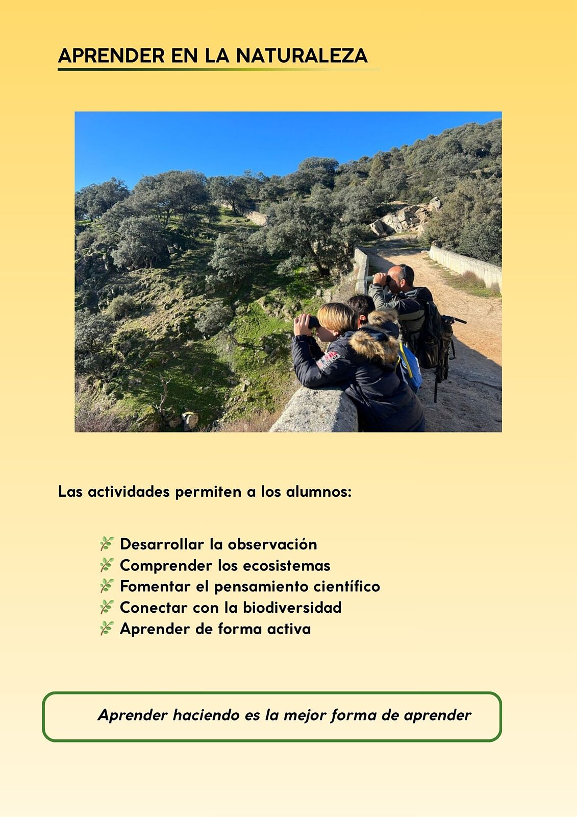 ElanusBirding - 1000008909-ts20260429102049703011.jpg