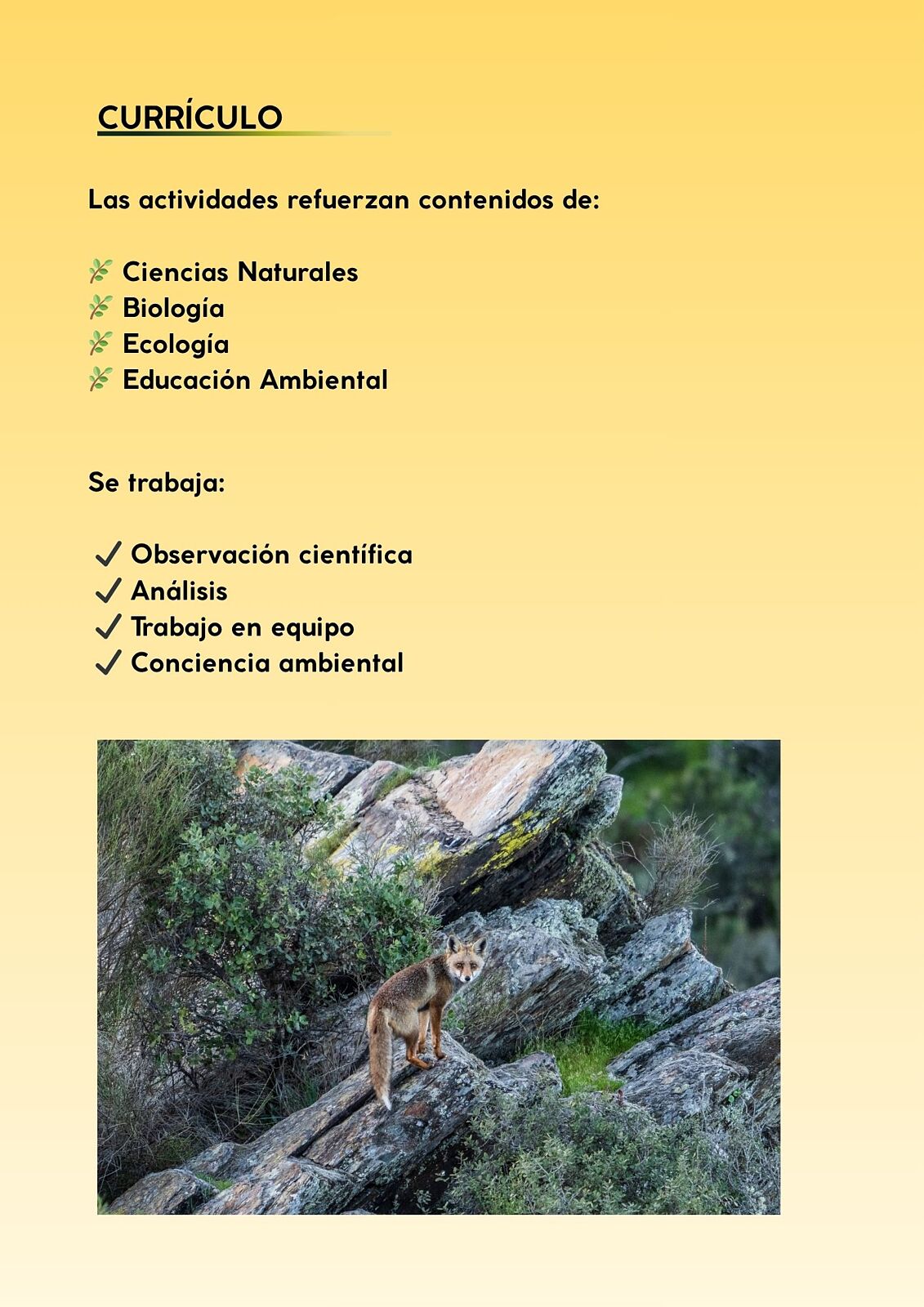 ElanusBirding - 1000008915-ts20260429102206779738.jpg