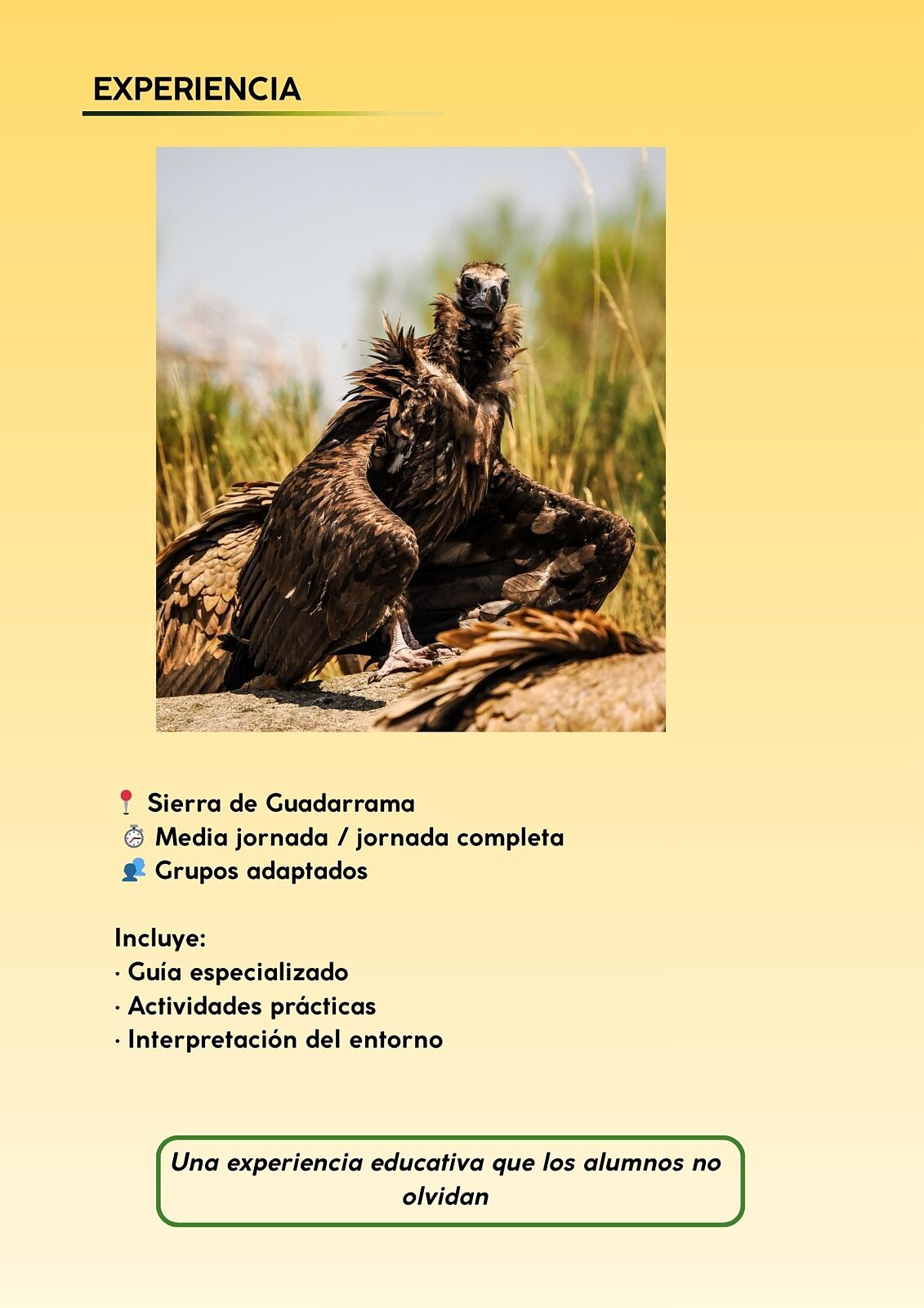 ElanusBirding - 1000008916-ts20260429102216306466.jpg