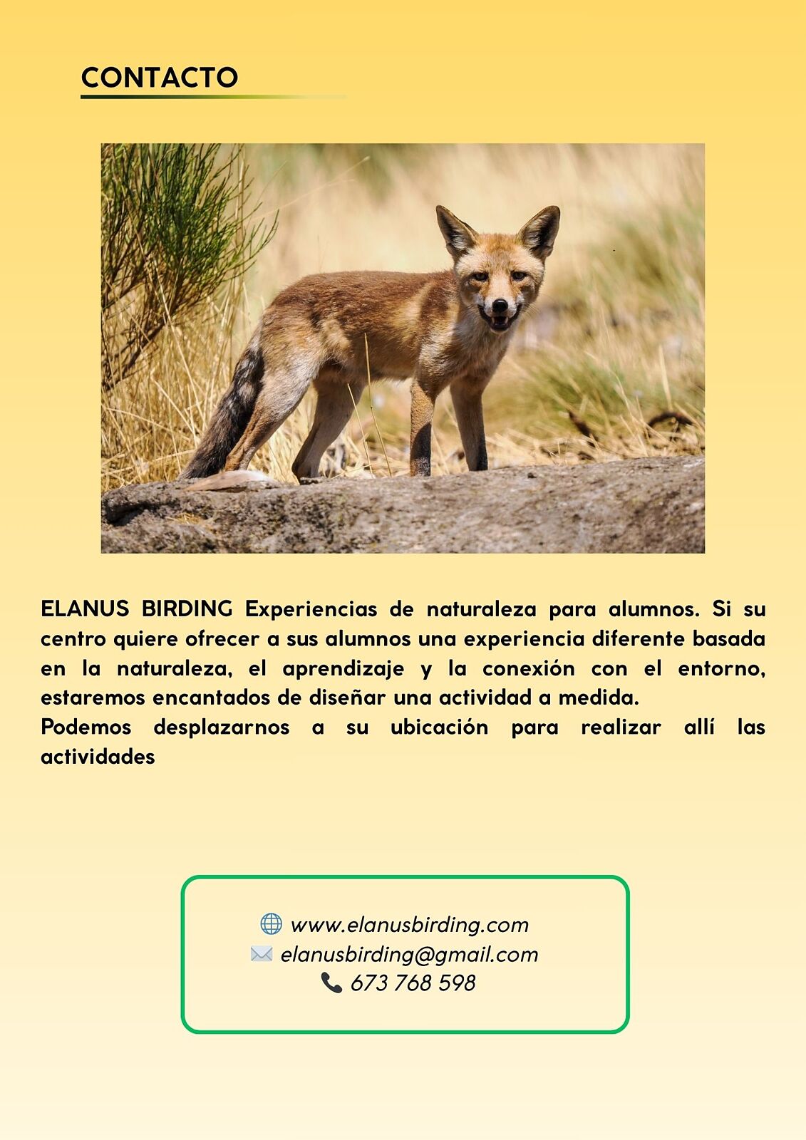 ElanusBirding - 1000008917-ts20260429102231976117.jpg