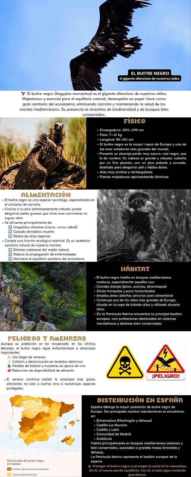 ElanusBirding - 1000008918-ts20260429104420688188.jpg