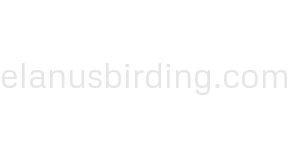 elanusbirding.com