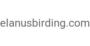 elanusbirding.com
