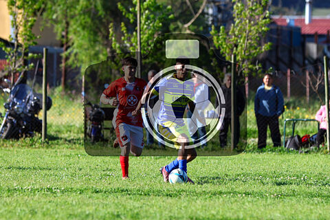 Libertad vs Bosque