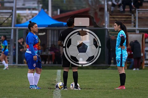 Viva Chile vs Esfuerzo