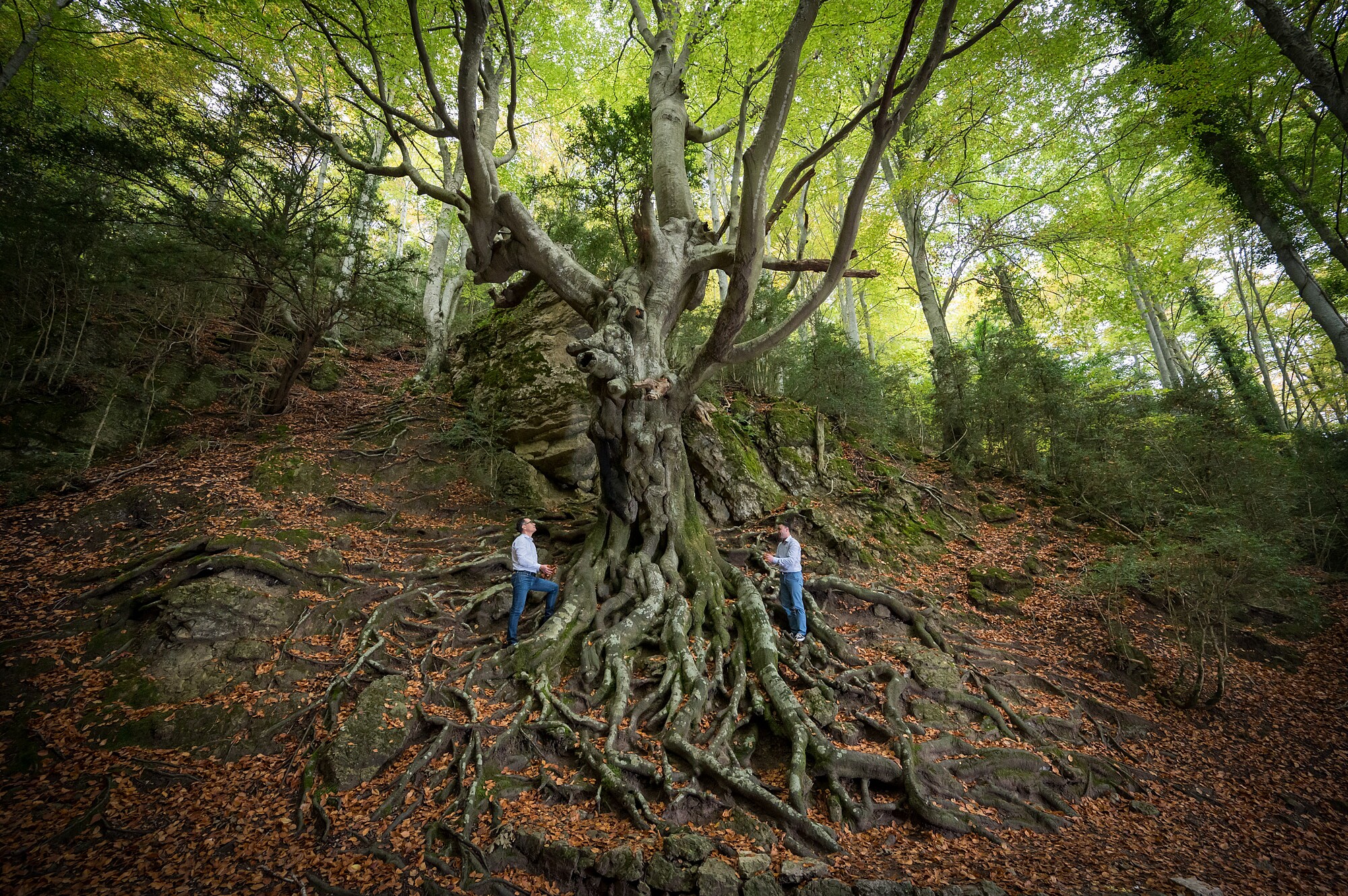 06-abelsogues.com-A22_1886