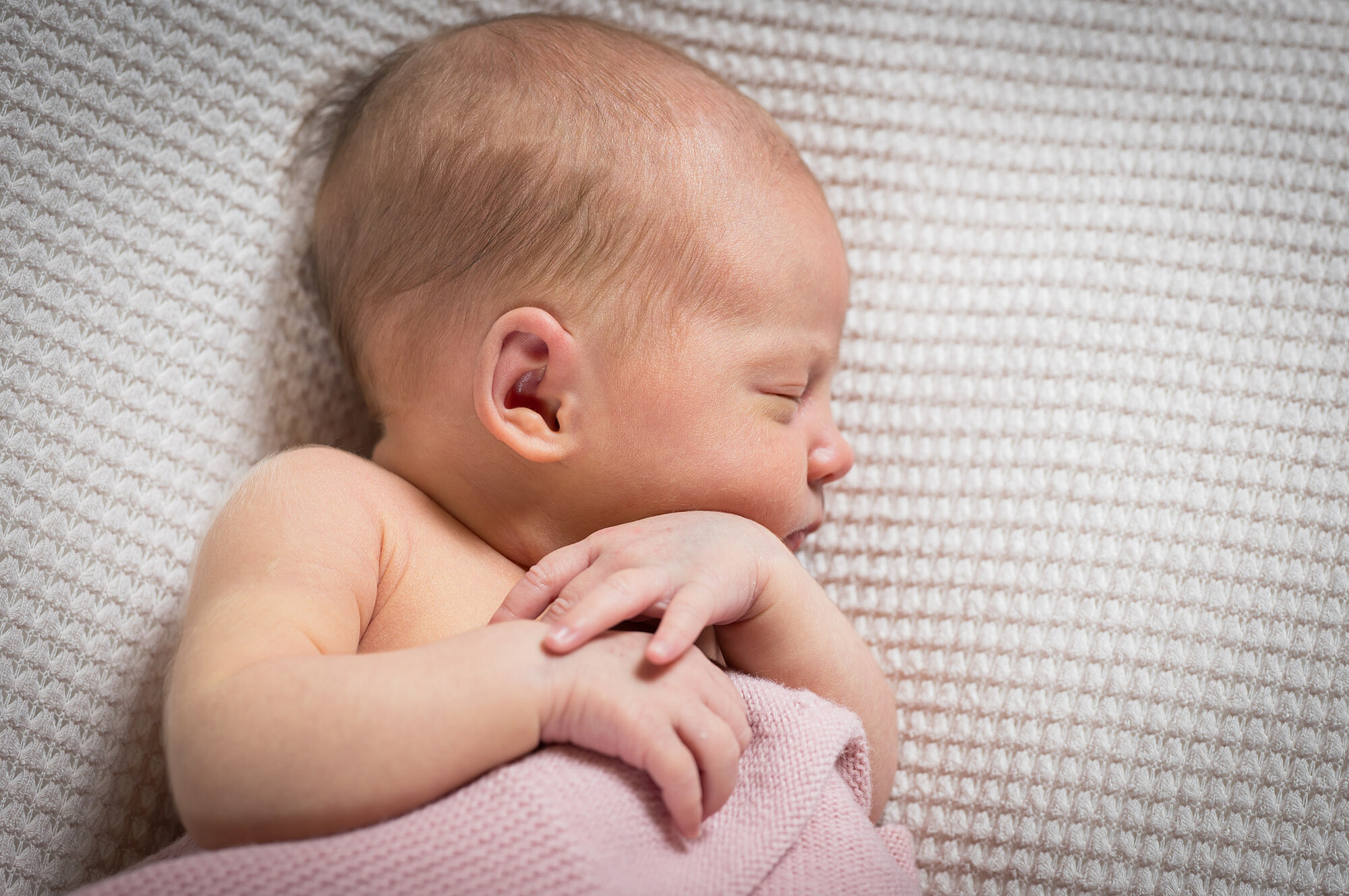 abelsogues.com-05-_A235586