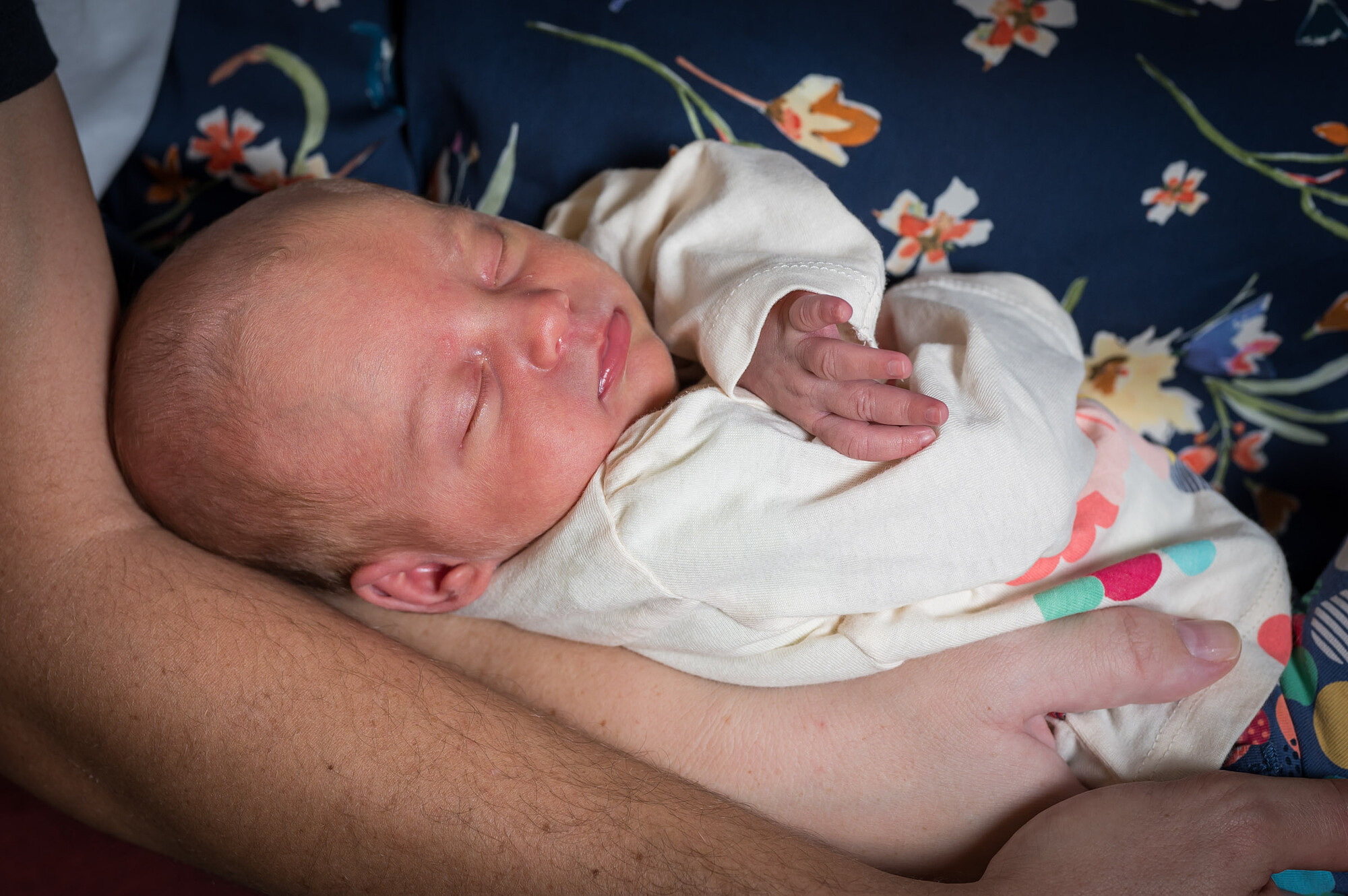 abelsogues.com-07-_A235677