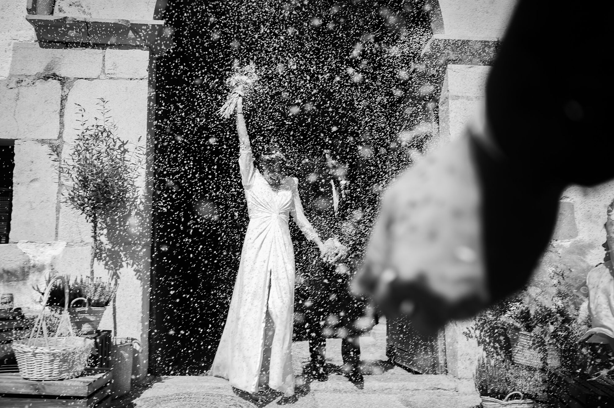 49abelsogues.com-257714