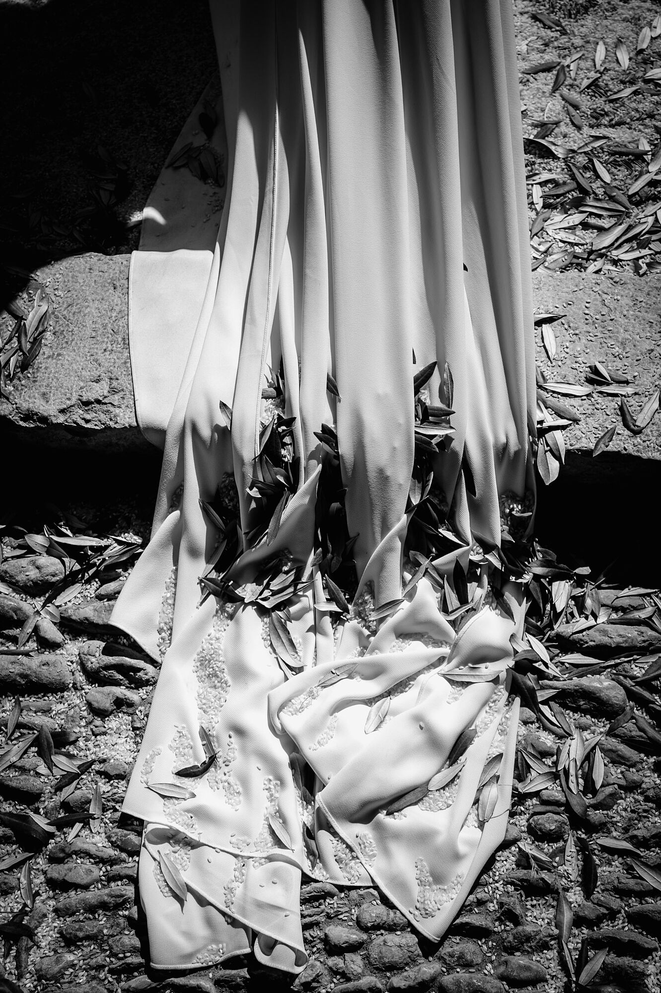 50abelsogues.com-257785