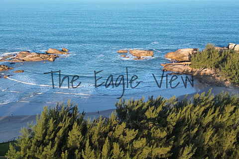 SALE OF PRINTED PHOTOS