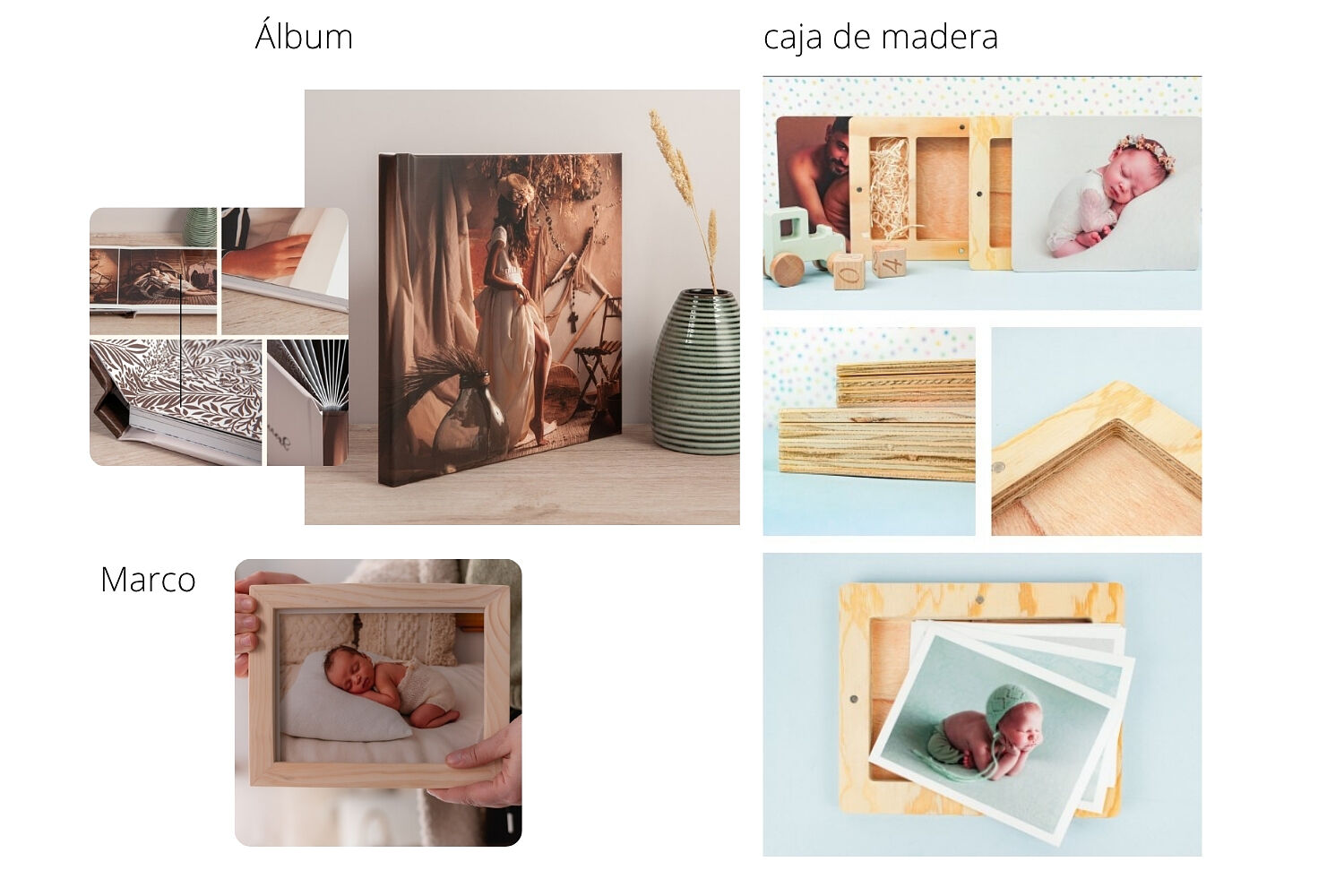 Fotografía Newborn, embarazo, smashcake, bebé, familia y comunión. - embarazo-newborn-8-ts20251023132921993975.jpg