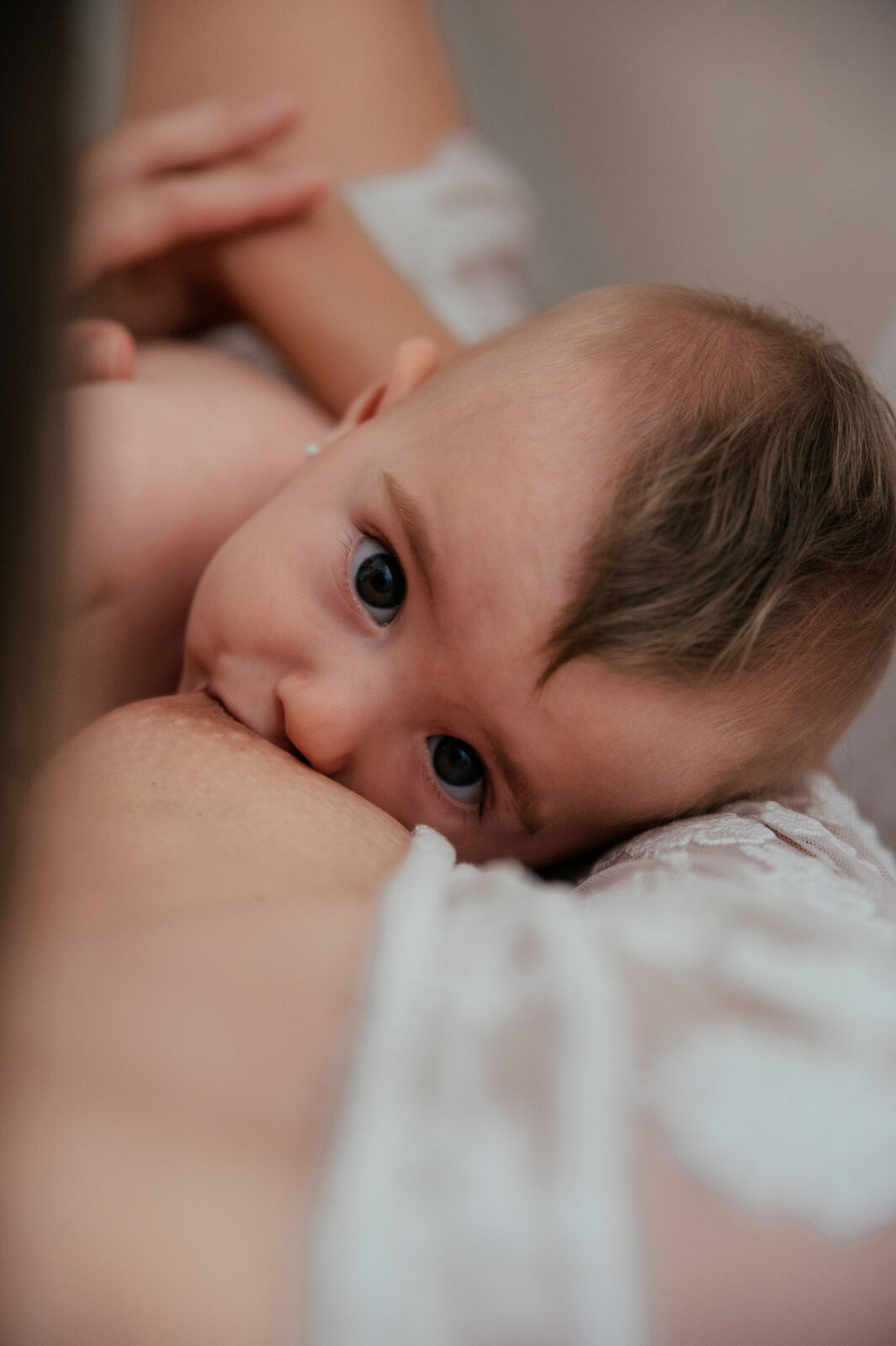Mari Lozano-Fotografía de maternidad - marilozano-4-ts20260309191409411967.jpg