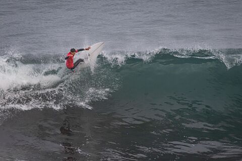 La Celebración / Lobos Por Siempre