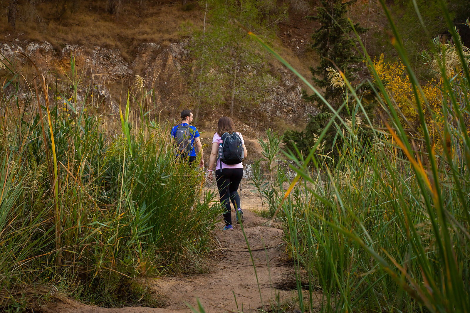 Imagina Que - img_4520-ts20251120101629277384.jpg