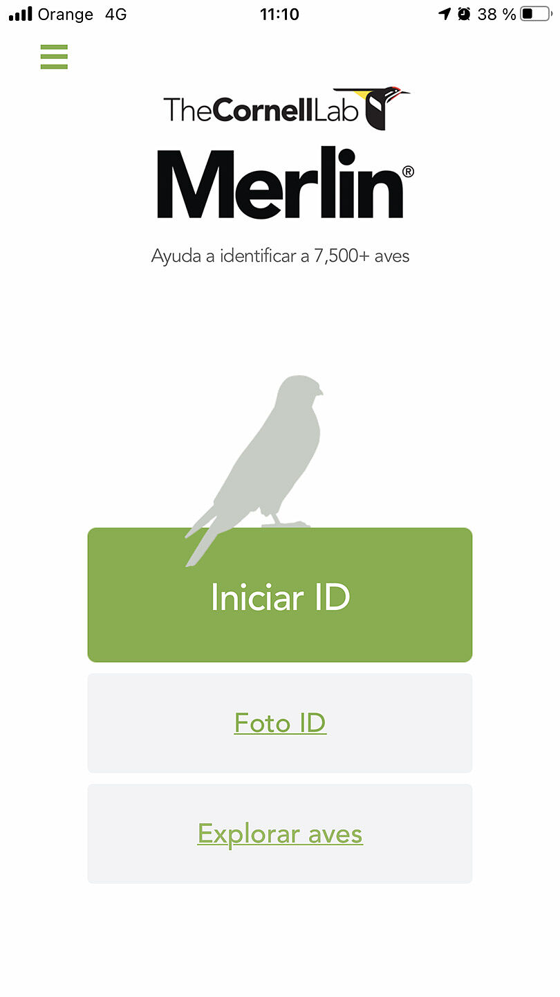 Naturfotosport.com - img-6632_merlin_id-ts20251126192901895943.jpg