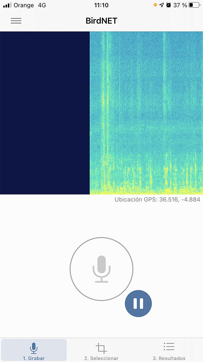 Naturfotosport.com - img-6633_birdnet-ts20251126193722936912.jpg