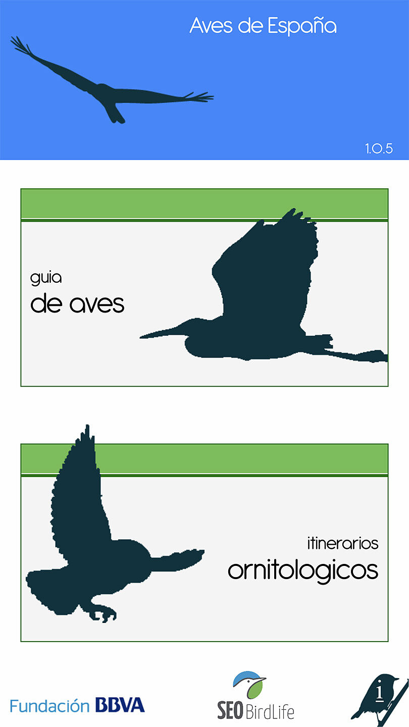 Naturfotosport.com - img-6635_aves_de_espana-ts20251126192429885576.jpg