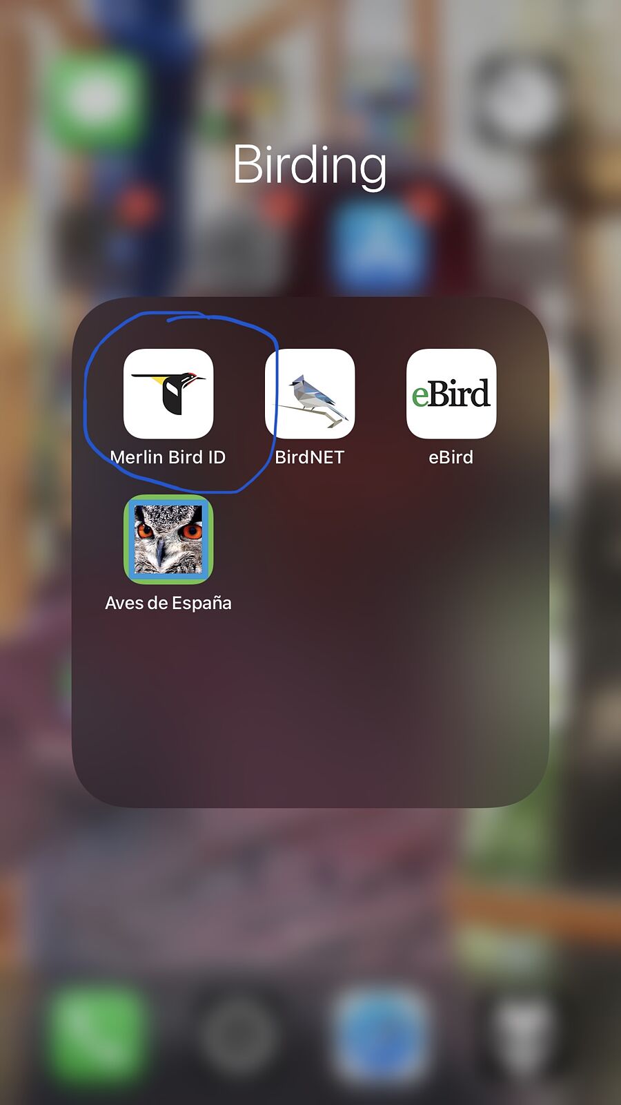 Naturfotosport.com - img-7228_the_merlin_id-ts20251126192853739308.jpg