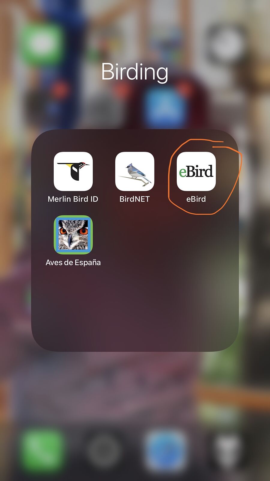 Naturfotosport.com - img-7230_ebird-ts20251126193151118092.jpg