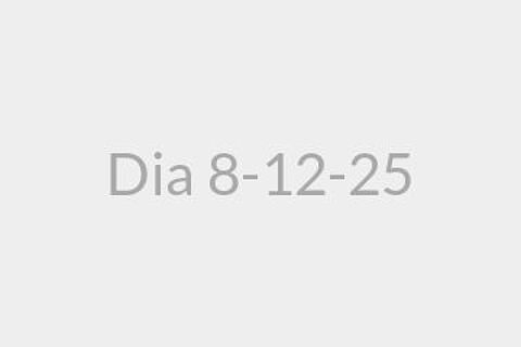 Dia 8-12-25