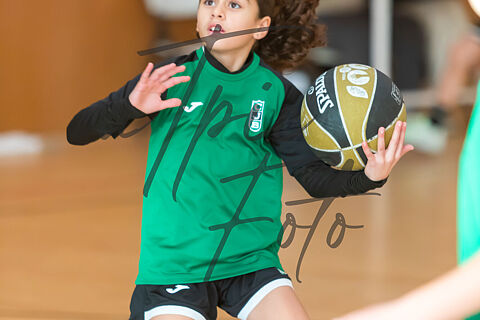 Club Joventut Badalona Verd - Femeni Sant Adrià