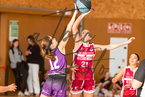 CB Sant Gregori - CB Alcobendas