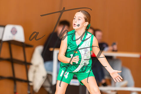 CB Sant Gregori - CB El Olivar